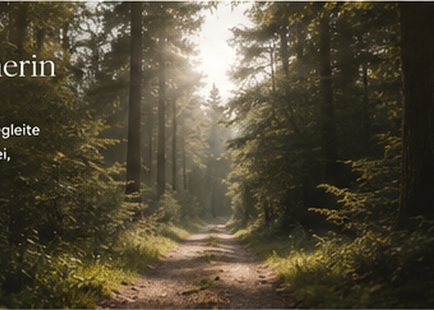 Sonnenlicht auf einem stillen Waldweg